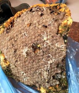 Mua bán mật ong đá tại Đắk Hà Kon Tum