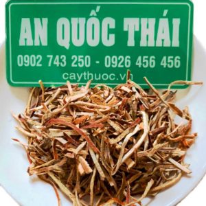 Mua bán trần bì tại Đắk Hà Kon Tum uy tín