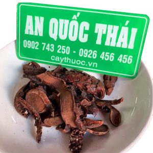 Mua nấm ngọc cẩu tại Đắk Hà Kon Tum